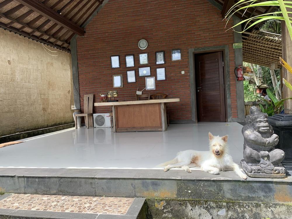 Pajar House Ubud Suite & Villas ภายนอก รูปภาพ