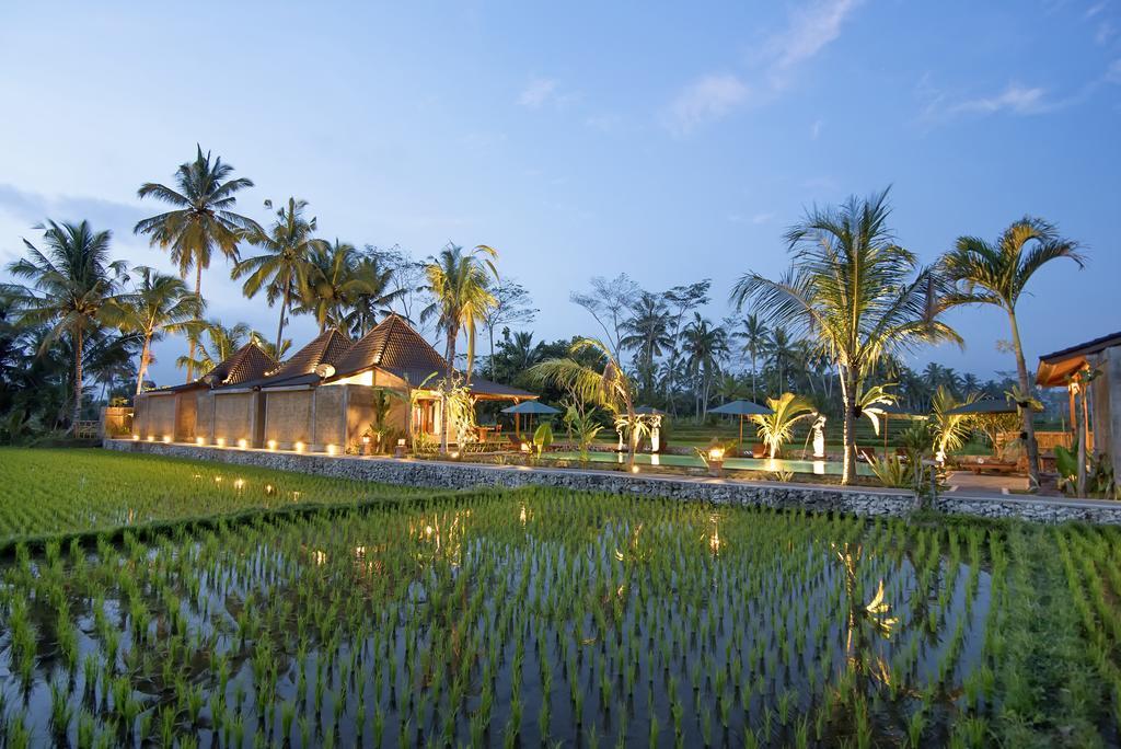 Pajar House Ubud Suite & Villas ห้อง รูปภาพ