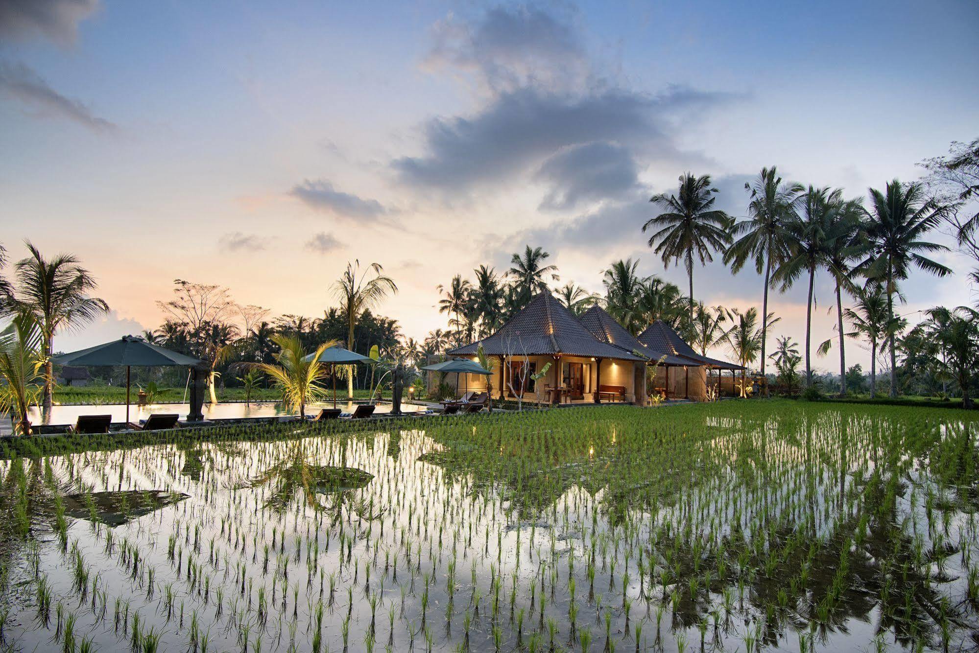 Pajar House Ubud Suite & Villas ภายนอก รูปภาพ