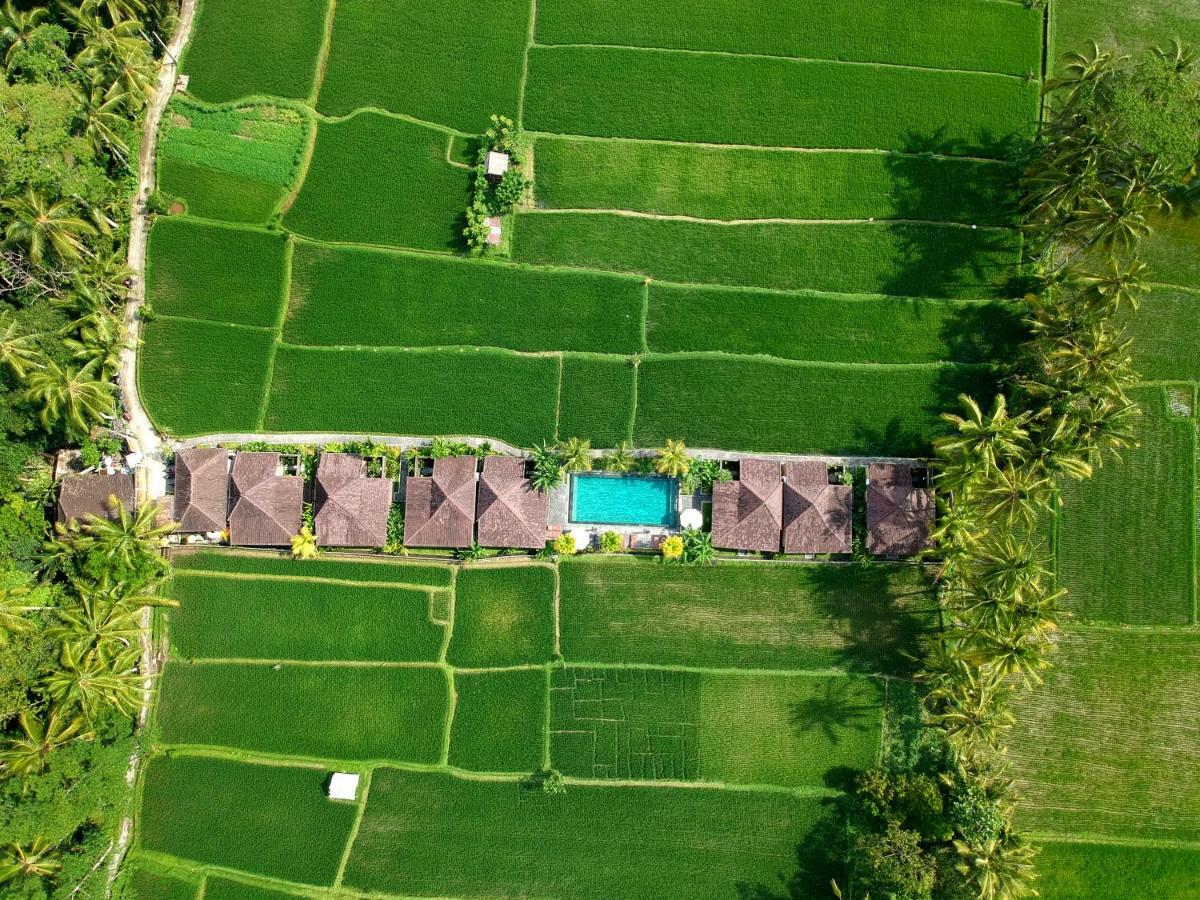 Pajar House Ubud Suite & Villas ภายนอก รูปภาพ